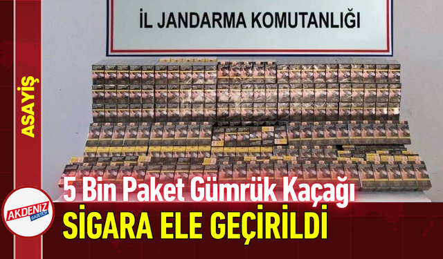 5 Bin Paket Gümrük Kaçağı Sigara Ele Geçirildi!