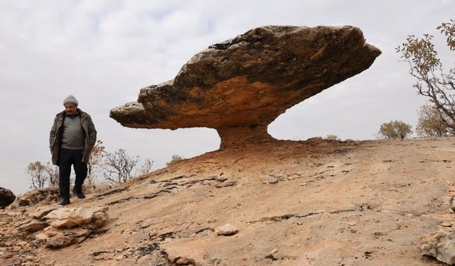 6 Milyon Yıllık Mantar Kayalar, Buzul Çağının İzlerini Taşıyor!
