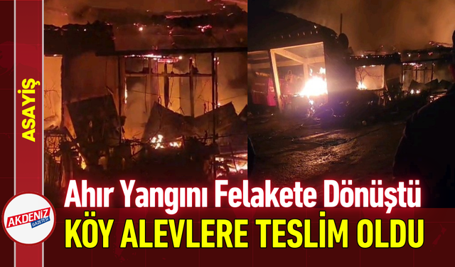 Ahır Yangını Felakete Dönüştü: Köy Alevlere Teslim Oldu!