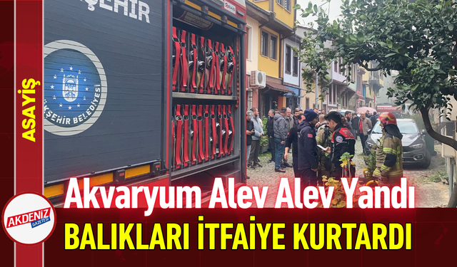 Akvaryum Alev Alev Yandı Balıkları İtfaiye Kurtardı!