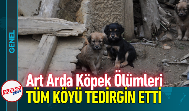 Art Arda Köpek Ölümleri Tüm Köyü Tedirgin Etti!