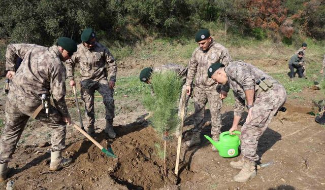 Aydın’da 33 Şehit Polis İçin 333 Fidan Dikildi