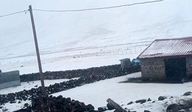 Doğu'nun Çukurovası Iğdır'da Kar Sürprizi