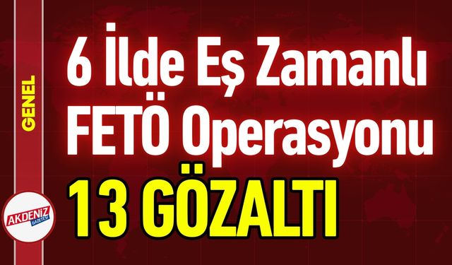 İllerde FETÖ operasyonları: 13 gözaltı kararı