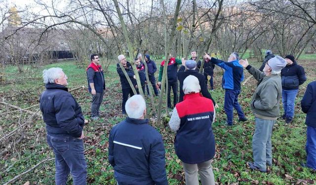 Fındıkta Seferberlik: 90 Köyde Binlerce Üreticiye Ders