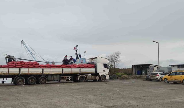 Karadeniz’in Beyaz Hazinesi İtalya Yolunda