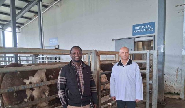 Kocaeli’deki mezbaha İslam ülkelerine örnek gösterildi