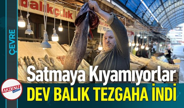 Halkın Sağlığıyla Oynamışlar: 1 Ton Bozuk Sucuk Yakalandı