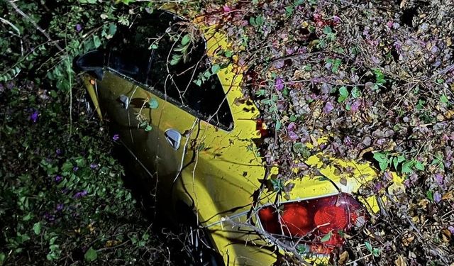 Mersin'de taksi, ağacın altında kaldı