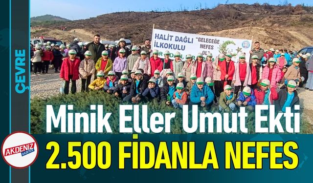 Minik Eller Umut Ekti: Yangın Yerine 2.500 Fidan