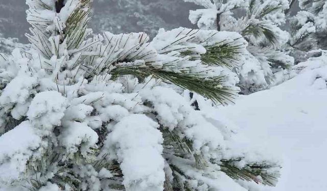 Muğla'ya Kış Geldi: Göktepe Dağı'na Mevsimin İlk Karı Düştü