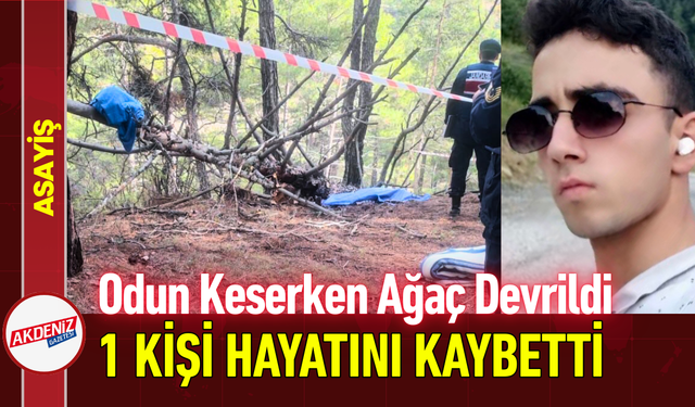 Odun Keserken Ağaç Devrildi: 1 Kişi Hayatını Kaybetti!