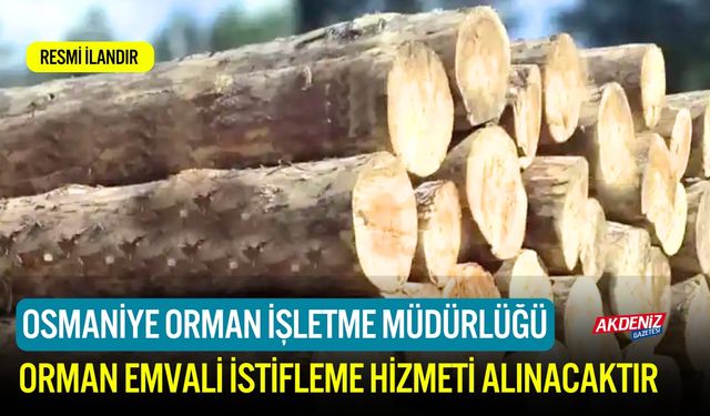 ORMAN EMVALİ İSTİFLEME HİZMETİ ALINACAKTIR