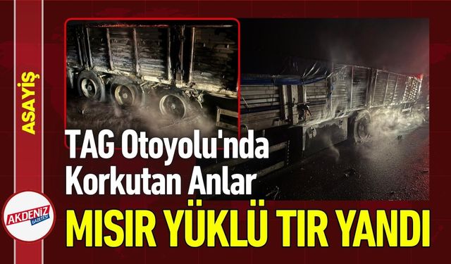 Osmaniye TAG Otoyolu'nda Mısır Yüklü Tır Alev Aldı