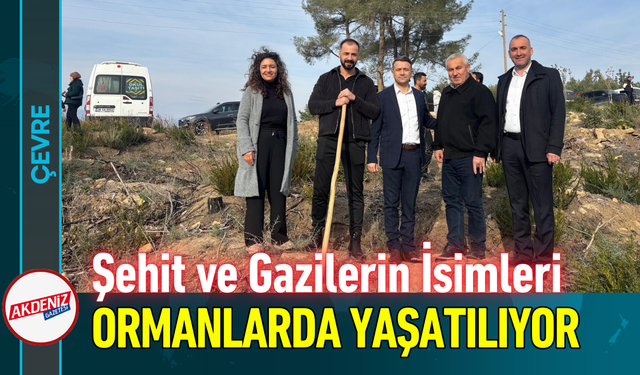 Şehit ve Gazilerin İsimleri Ormanlarda Yaşatılıyor!