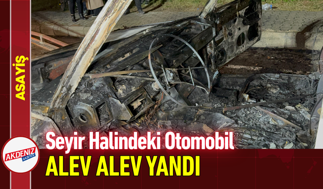 Seyir Halindeki Otomobil Alev Alev Yandı!