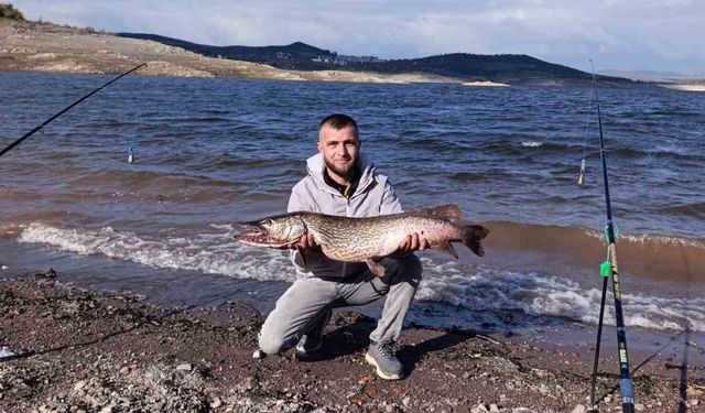 Sındırgı’da Doğa Mucizesi: Dev Sazan Avında Karaca