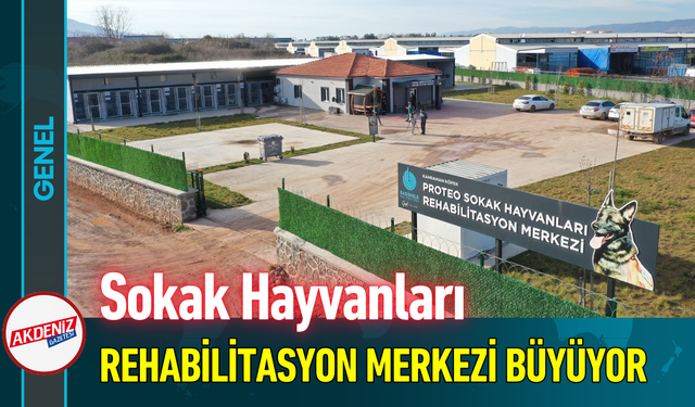 Sokak Hayvanları Rehabilitasyon Merkezi Büyüyor!