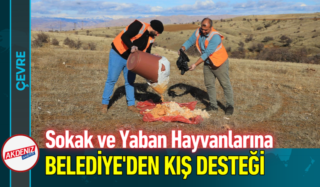 Sokak ve Yaban Hayvanlarına Belediye'den Kış Desteği!