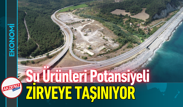 Su Ürünleri Potansiyeli Zirveye Taşınıyor!