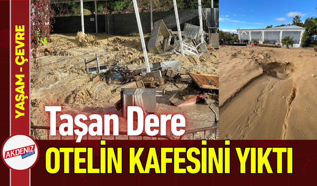 Taşan Dere Otelin Sahildeki Kafesini Yıktı!