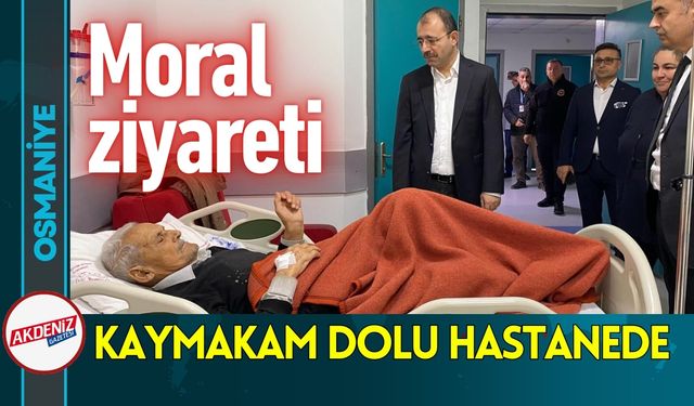 Merak Konusu Oldu; Osmaniye'de 71 Eşek Nerede?