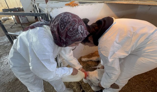 Üniversite Arazisi Kent Ekonomisine Katkı Veriyor