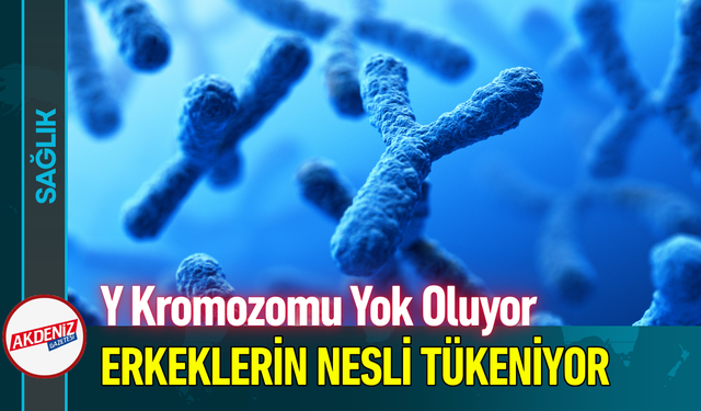 Y Kromozomu Tarih Oluyor, Erkeklerin Nesli Tükeniyor!