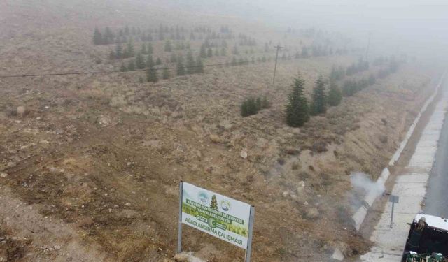 Yahyalı’ya bin 200 fidan dikildi