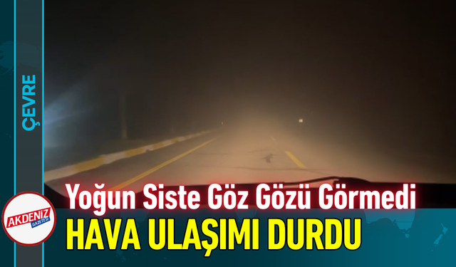 Yoğun Siste Göz Gözü Görmedi, Hava Ulaşımı Durdu!