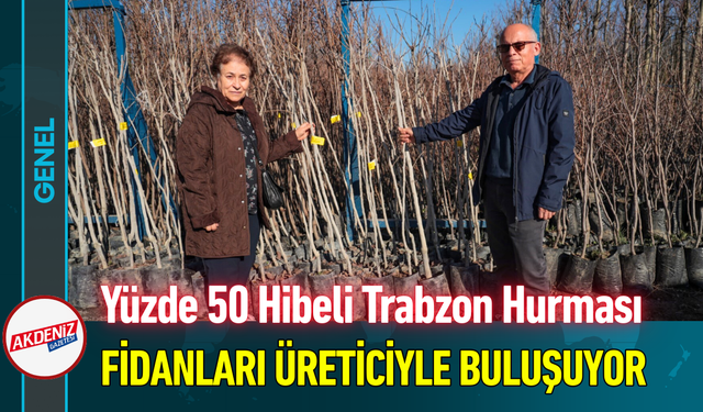 Yüzde 50 Hibeli Trabzon Hurması Fidanları Üreticiyle Buluşuyor!