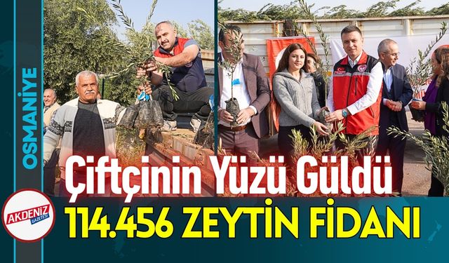 Osmaniye'de 2025'de 114.456 Zeytin Fidanı Dağıtıldı