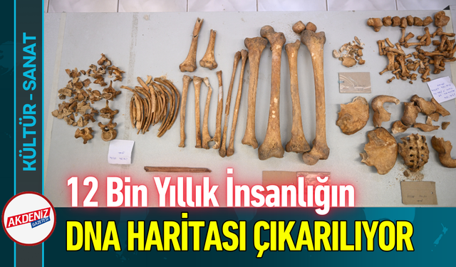12 Bin Yıllık İnsanlığın DNA Haritası Çıkarılıyor!