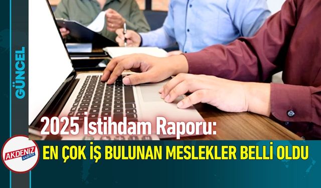 2025 İstihdam Raporu: En Çok İş Bulunan Meslekler Belli Oldu