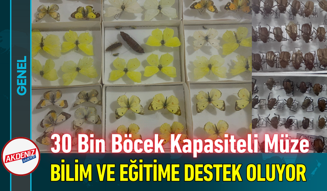 30 Bin Böcek Kapasiteli Müze Bilim ve Eğitime Destek Oluyor!