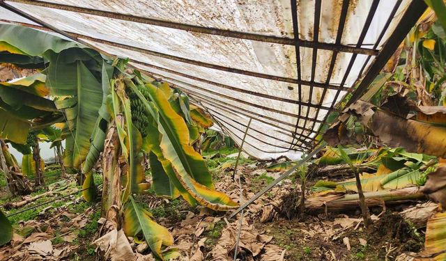 Anamur ve Aydıncık’ta Seralar Çöktü, Ürünler Gitti