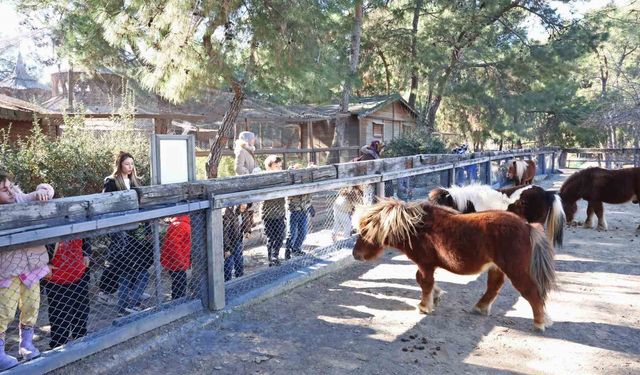 Antalya’da 5 Bin Çocuğa Hayvan ve Doğa Eğitimi