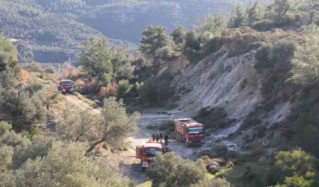 Antalya'da Orman Yangını: Alevler Söndürüldü