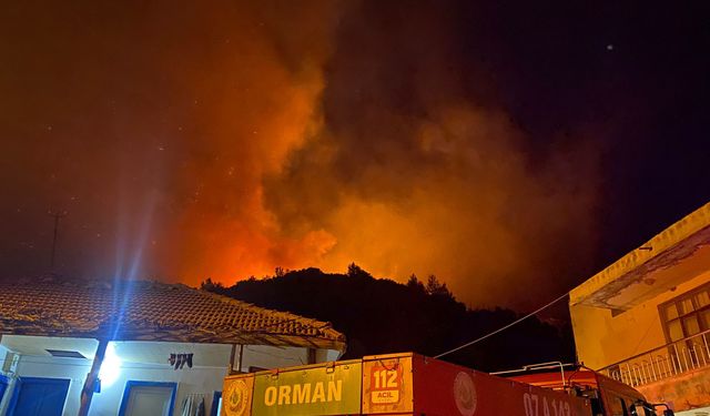 Antalya'da Ormanlık Alanda Yangın Çıktı!