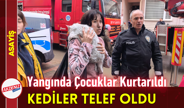 Yangında Çocuklar Kurtarıldı, Kediler Telef Oldu!