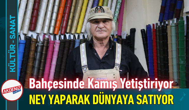 Bahçesinde Kamış Yetiştiriyor, Ney Yaparak Dünyaya Satıyor!