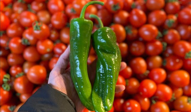 Batı Akdeniz’in İhracat Lideri İlk Kez Biber Oldu!