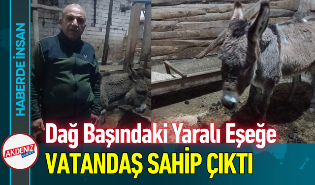 Dağ Başındaki Yaralı Eşeğe Vatandaş Sahip Çıktı!