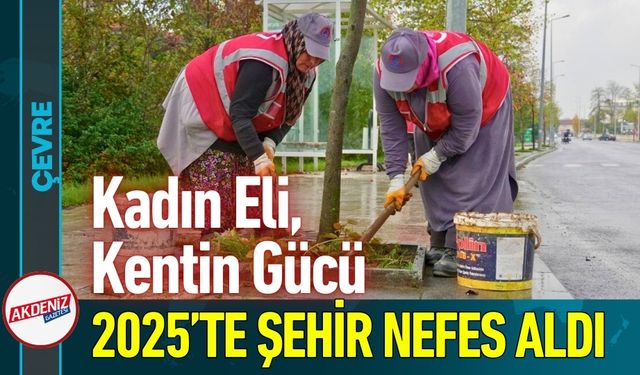 Düzce'de Yeşil Seferberliği: 2025 Yılı Hizmet Dolu Geçti
