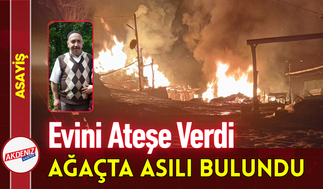 Evini Ateşe Verdi Ağaçta Asılı Bulundu!