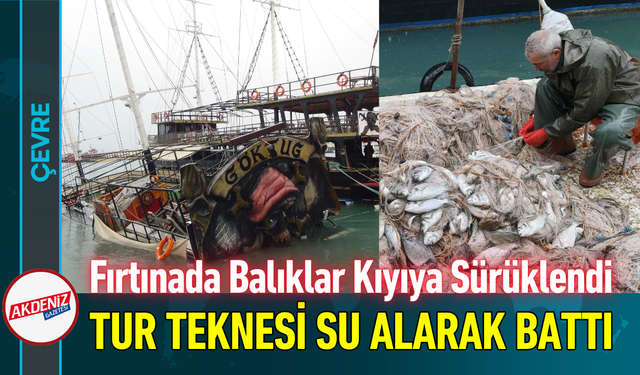 Fırtınada Balıklar Kıyıya Sürüklendi, Tur Teknesi Su Alarak Battı!