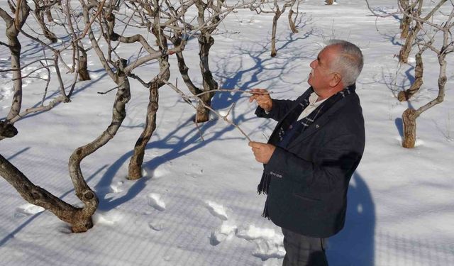 Gaziantep'te Kar Bereketi: 'Yeşil Altın'da Var Yılı Müjdesi
