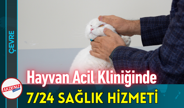 Hayvan Acil Kliniğinde 7/24 Sağlık Hizmeti!
