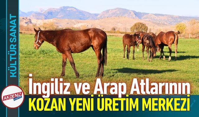 Kozan Milyonluk İngiliz ve Arap Atlarının Yetişme Alanı