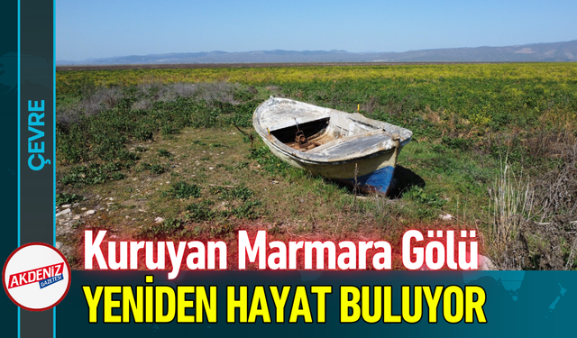 Kuruyan Marmara Gölü Yeniden Hayat Buluyor!